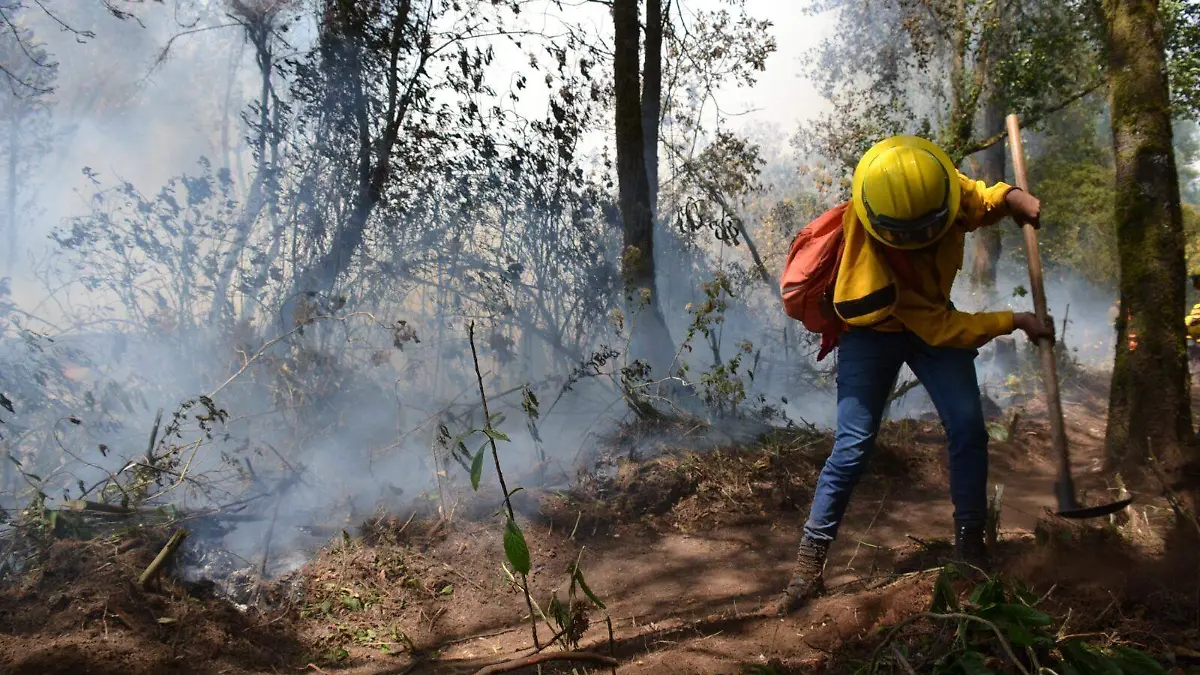 incendios edomex protección civil Edomex